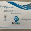 Ampliar imagem: certificate 2