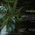 Ampliar imagem: certificate 3