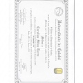 Ampliar imagem: certificate 3