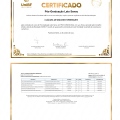 Ampliar imagem: certificate 9