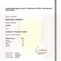 Ampliar imagem: certificate 9