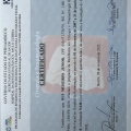 Ampliar imagem: certificate 1