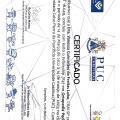 Ampliar imagem: certificate 1