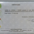 Ampliar imagem: certificate 9
