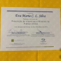Ampliar imagem: certificate 7