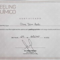 Ampliar imagem: certificate 3
