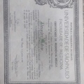 Ampliar imagem: certificate 4