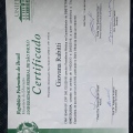Ampliar imagem: certificate 3
