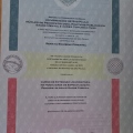 Ampliar imagem: certificate 1