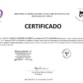 Ampliar imagem: certificate 5