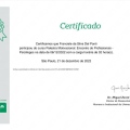 Ampliar imagem: certificate 4