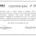 Ampliar imagem: certificate 8