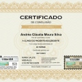 Ampliar imagem: certificate 3