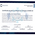 Ampliar imagem: certificate 9