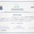 Ampliar imagem: certificate 1