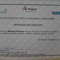 Ampliar imagem: certificate 4