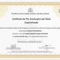 Ampliar imagem: certificate 1