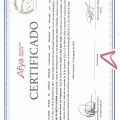 Ampliar imagem: certificate 8