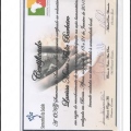 Ampliar imagem: certificate 6