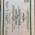Ampliar imagem: certificate 2