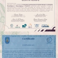 Ampliar imagem: certificate 11