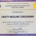 Ampliar imagem: certificate 1