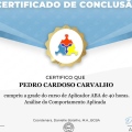 Ampliar imagem: certificate 11