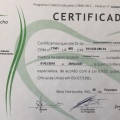 Ampliar imagem: certificate 1