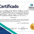 Ampliar imagem: certificate 4