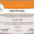 Ampliar imagem: certificate 6