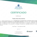 Ampliar imagem: certificate 11
