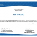Ampliar imagem: certificate 4