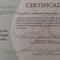 Ampliar imagem: certificate 5