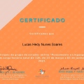 Ampliar imagem: certificate 22