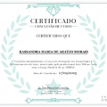 Ampliar imagem: certificate 5