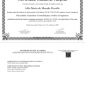 Ampliar imagem: certificate 3