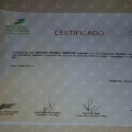 Ampliar imagem: certificate 77