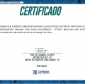 Ampliar imagem: certificate 17