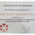 Ampliar imagem: certificate 11