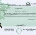 Ampliar imagem: certificate 5