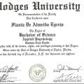 Ampliar imagem: certificate 3