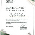 Ampliar imagem: certificate 7