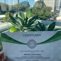 Ampliar imagem: certificate 4