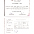 Ampliar imagem: certificate 10
