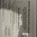 Ampliar imagem: certificate 3