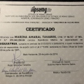 Ampliar imagem: certificate 2