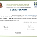 Ampliar imagem: certificate 4