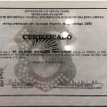 Ampliar imagem: certificate 9