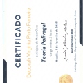 Ampliar imagem: certificate 5