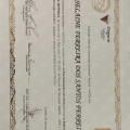 Ampliar imagem: certificate 2